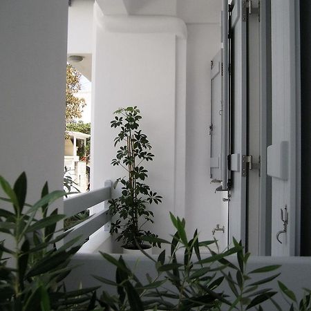 Aelia Apartments Naxos City Ngoại thất bức ảnh