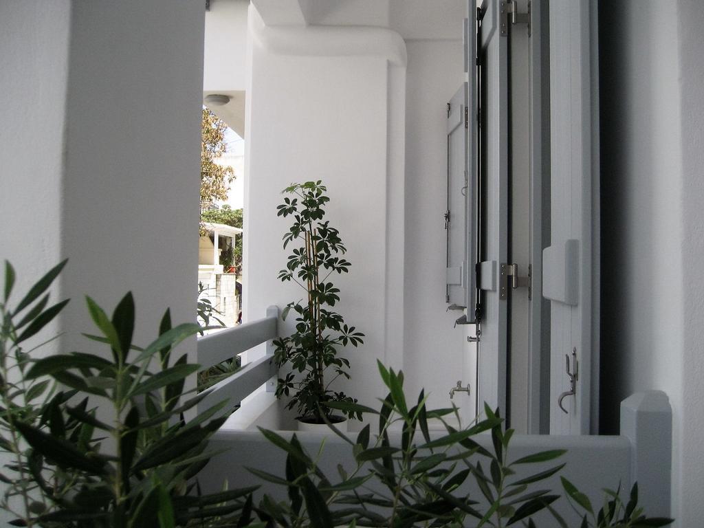 Aelia Apartments Naxos City Ngoại thất bức ảnh